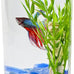 Tetra LED half moon aquarium kit with clear plastic fish tank ideal for betta fish care, small, 1.1 gallons, energy-efficient LED lighting