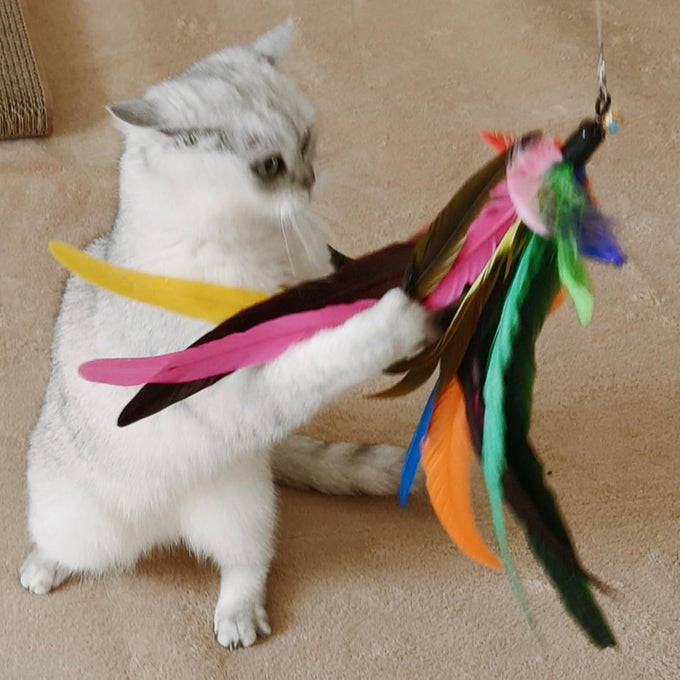 miwoowim 2PCS ultra-long teaser cat toys with 9PCS da bird feather refills, fishing pole toy and feather attachment replacement