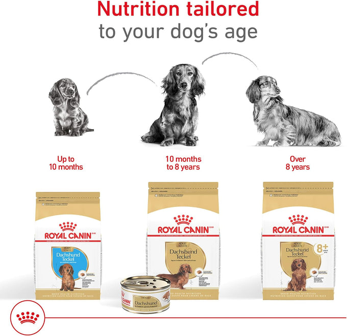 Royal Canin Dachshund Puppy Dry Dog Food, 2.5 lb Bag