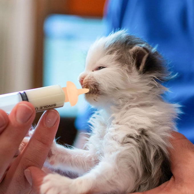 pet feeding syringe with silicone nipple 5ml and 10ml syringes for newborn kittens puppies and small animals