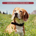 emotional-support-dog-tag-metal-pet-id-tags-esa-tag-red-medical-alert-symbol-double-sided