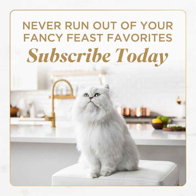 pate variety pack of purina fancy feast savory centers with chicken salmon beef and tuna