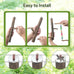 Bird Swing Toys with Perch Stand for Budgies, Parakeets, Cockatiels, and Small Birds - Bird-Safe Wood and Colored Chains