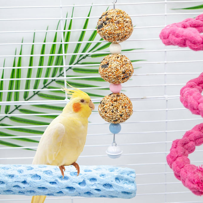 Bird toys, 2 pack, 3 natural cereal foraging balls, cage toys for parakeet, budgie, cockatiel, lovebird, green cheek, small to medium birds