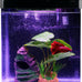 Betta fish tank self cleaning glass 2 gallon small nano aquarium starter kit with led light and whisper filters