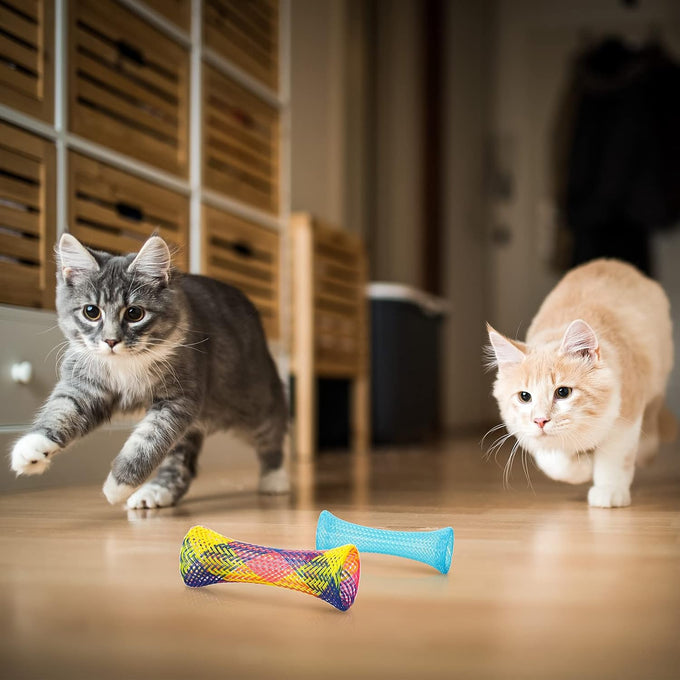 leitee 60-pcs cat spring toys colorful fun tubes indoors interactive cat play