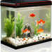 5-gallon glass aquarium starter kit for betta, shrimp, guppy, jellyfish, goldfish and beta with self-cleaning pump and 3-color light