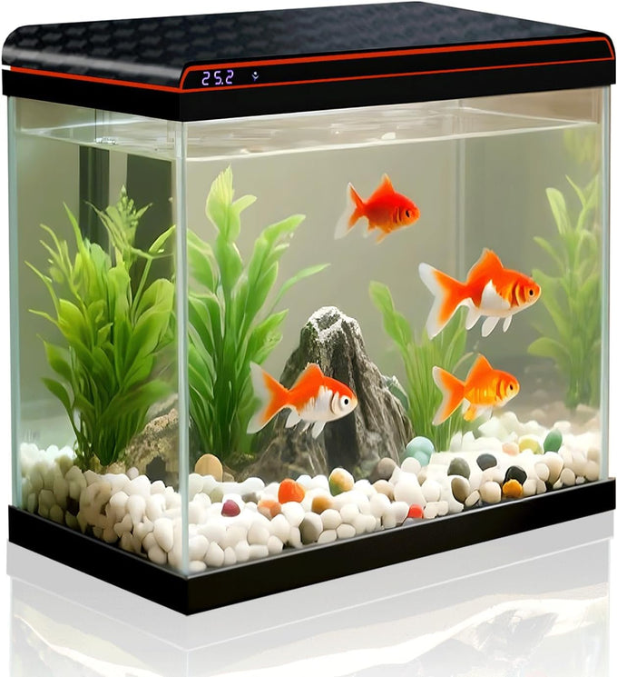 5-gallon glass aquarium starter kit for betta, shrimp, guppy, jellyfish, goldfish and beta with self-cleaning pump and 3-color light