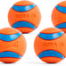 Chuckit! Ultra Squeaker Balls for Medium Dogs, Durable Rubber, Floating Water Pet Toys, Pack of 2, 2.5" Diameter