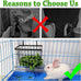 sangle sophfy rabbit hay feeder small animal feeding set with 350ml water bottle