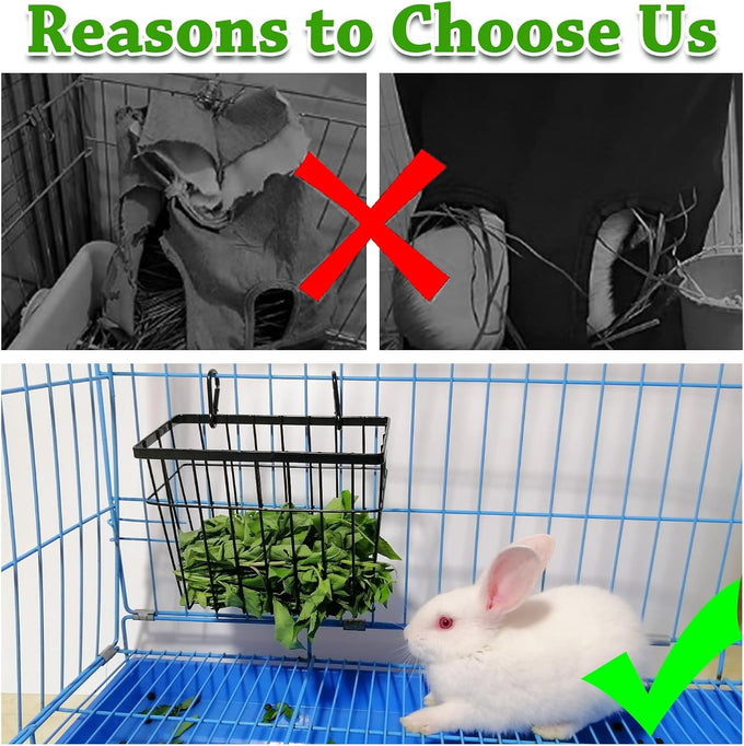 sangle sophfy rabbit hay feeder small animal feeding set with 350ml water bottle