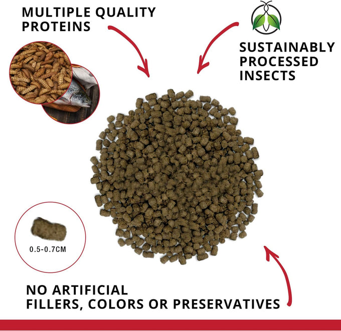 Fluval Bug Bites Cichlid Fish Food, Pellets for Medium to Large Fish, 3.53 oz, Nutrient-Rich Black Soldier Fly Larvae, Made in Canada