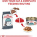 Royal Canin Feline Care Nutrition Hairball Care Adult Dry Cat Food, 6 lb Bag