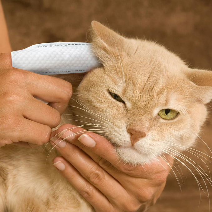 Paw Science dog ear cleaner wipes for dogs and cats, coconut formula, soothing, deodorizing itchy ear relief solution
