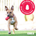 Kong natural rubber ring toy for small to medium dogs supports dental health and playtime