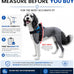 ShawnCo Essential Dog Harness for Small, Medium, and Large Dogs, No-Pull Pet Vest with 3 Leash Clips and Reflective Straps, Oceanic Blue, S