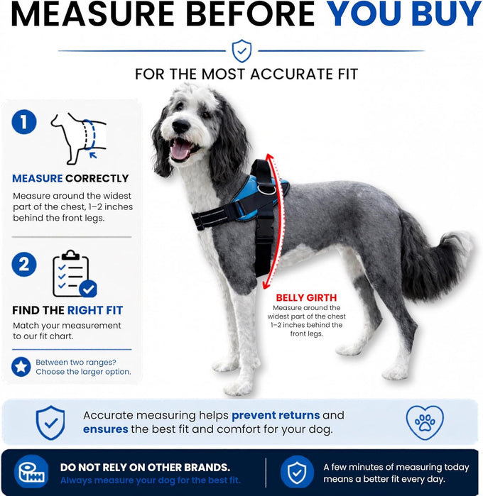 ShawnCo Essential Dog Harness for Small, Medium, and Large Dogs, No-Pull Pet Vest with 3 Leash Clips and Reflective Straps, Oceanic Blue, S