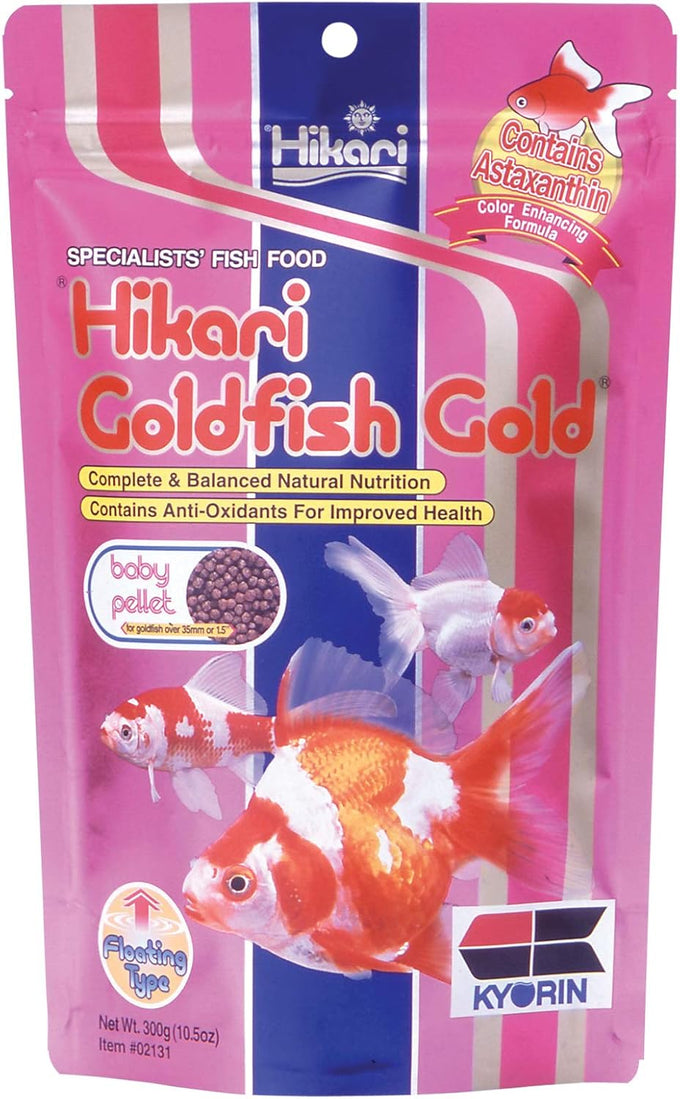 Hikari Gold Baby Pellet Fish Food 10.5 Oz for Aquarium and Pond Use by Hikari USA Inc