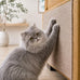 Best Pet Supplies Catify Beige Cat Scratcher, Peel & Stick, Claw Safe, Furniture Saver, Indoor Play, Natural Cat Behaviors, Heavy Duty, L: 39"