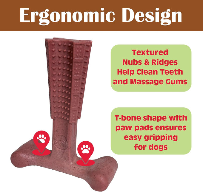 SPOT Bam-Bones Plus T Bone Bamboo Fiber Nylon Dog Chew Toy for Moderate Aggressive Chewers Durable Long Lasting Non-Splintering Beef Flavor 6 in