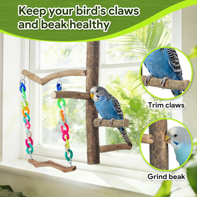 Bird Swing Toys with Perch Stand for Budgies, Parakeets, Cockatiels, and Small Birds - Bird-Safe Wood and Colored Chains