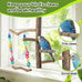 Bird Swing Toys with Perch Stand for Budgies, Parakeets, Cockatiels, and Small Birds - Bird-Safe Wood and Colored Chains