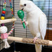10-pack bird toys for conures, budgies, parakeets & small birds (1.5'' - 5.5'')