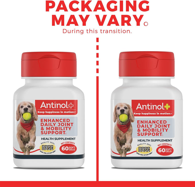 Antinol Plus Dog Joint Supplement with Green-Lipped Mussels and Krill Oil for Mobility and Health