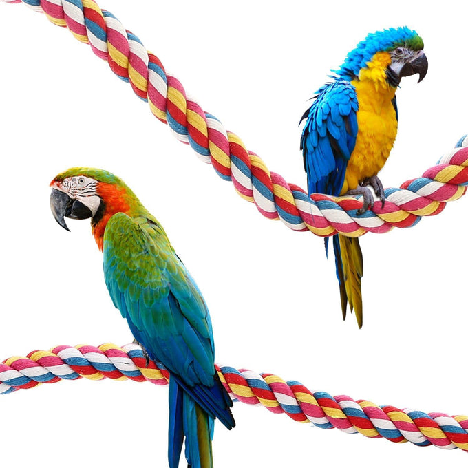 36-inch bird rope perch for parrots and large birds, multi-colored cotton rope, 1 pack