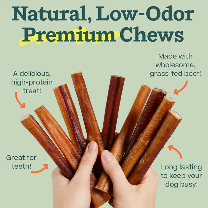 woof bully sticks made with free-range grass-fed beef 6 inch sticks 10pk