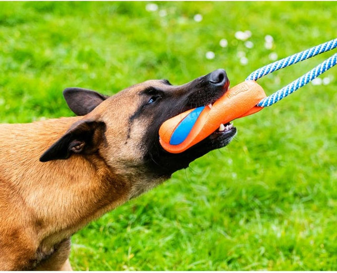 chuckit ultra bumper tug orange medium dog toy durable rubber floatable