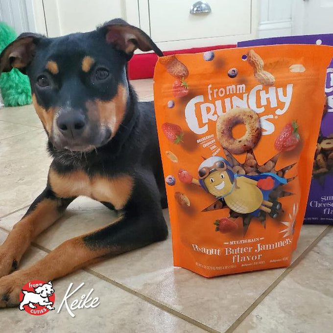 Fromm Crunchy Os Peanut Butter Jammers Dog Treats, Premium Crunchy Dog Treats with Peanut Butter