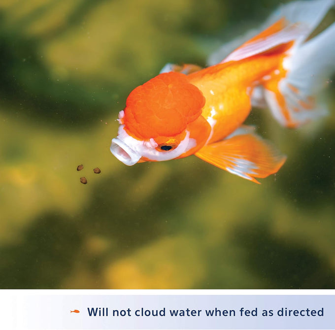 Aqueon Goldfish Fish Food Slow Sinking Granules, 5.8 Ounce, for Common Goldfish and Small Koi