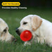vitever 3.5" squeaky dog toy balls in 6 colors, bpa free, non-toxic for medium, large & small dogs