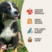 Fromm Large Breed Puppy Gold Premium Dry Dog Food - 30 lb