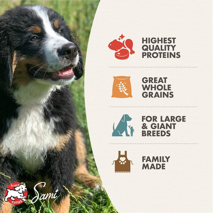 Fromm Large Breed Puppy Gold Premium Dry Dog Food - 30 lb