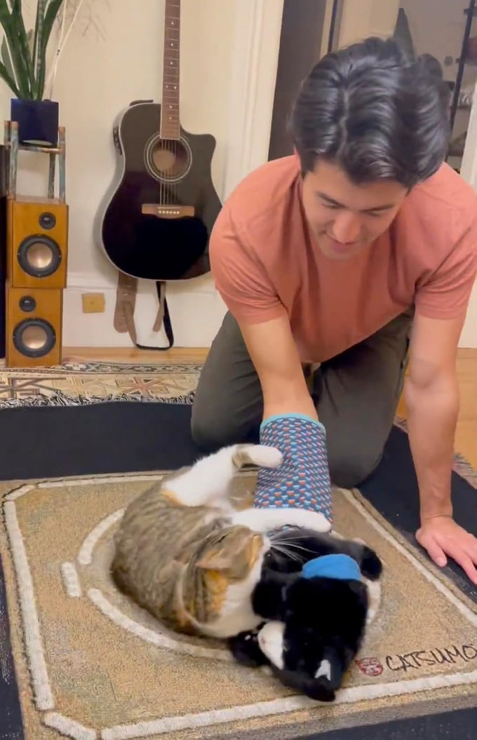 Cat Sumo Wrestler Puppet, Interactive Hand Mitt with Durable Protective Sleeve and Catnip for Safe Play