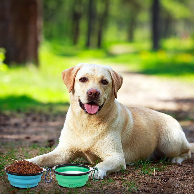 slson collapsible dog travel bowls 2 pack light blue and green small size