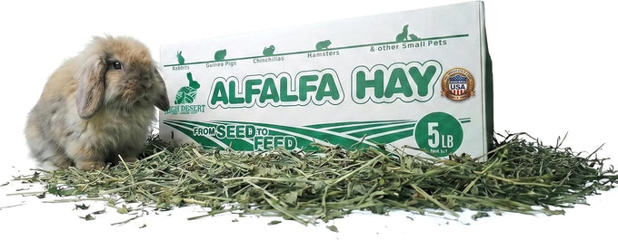 High Desert Alfalfa Hay, Protein Rich, Natural Rabbit Food and Guinea Pig Hay, 1 Lb Box, Soft Leaf for Young Growing Animals