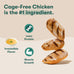 Jinx Chicken Dog Wet Food, Meal or Topper, Real Chicken, Bone Broth