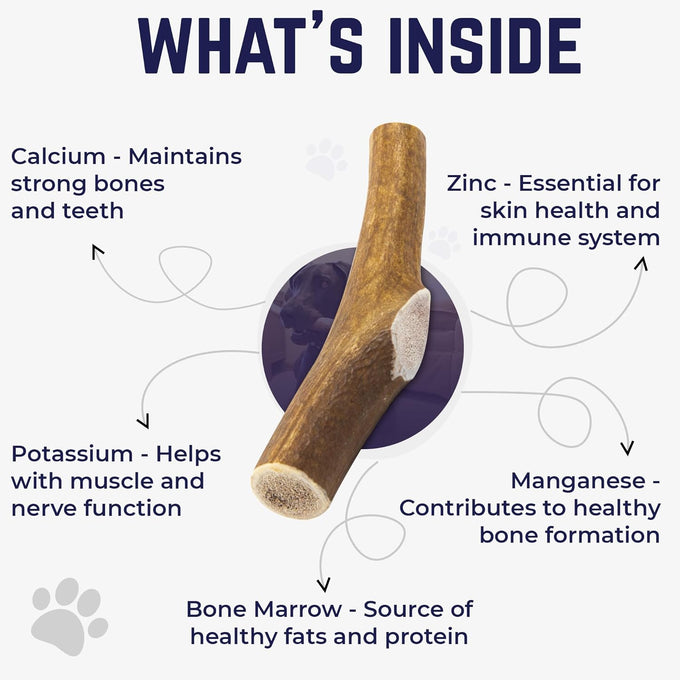 Devil Dog Pet Co. Medium 5+ USA Sourced Natural Elk Antler Dog Chew for Aggressive Chewers