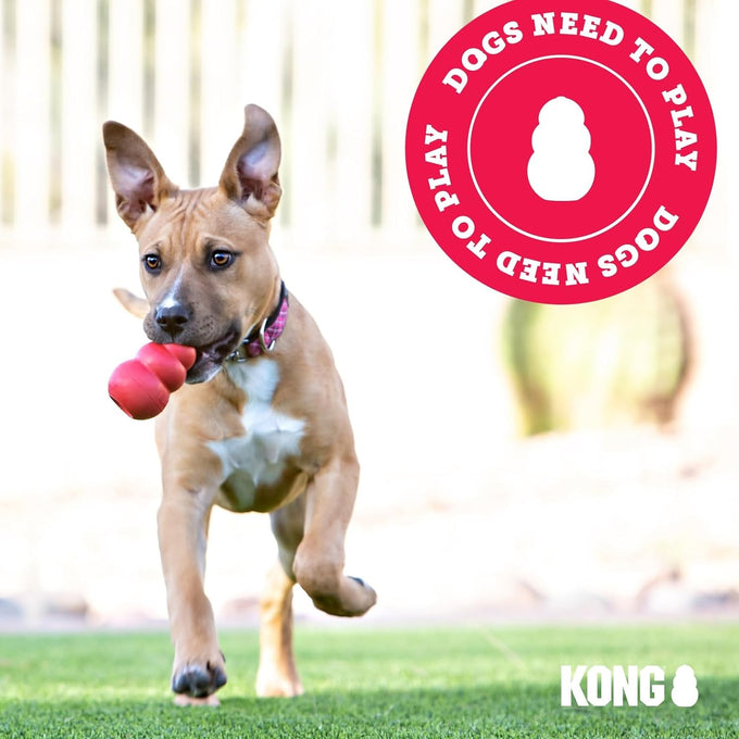 Kong Wubba Dog Toy for Tug of War & Fetch - Durable Nylon, Squeaker, for XL Dogs, Random Color