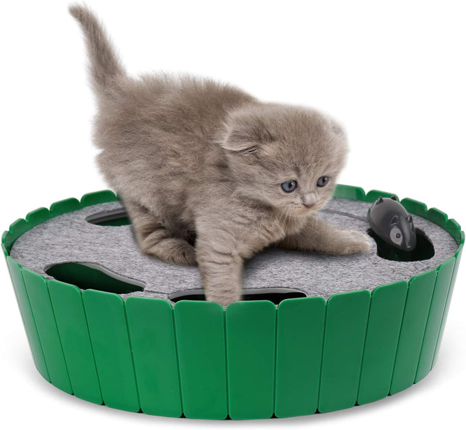 Pawaboo interactive cat toy with running mouse, electronic motion, automatic teaser for indoor cats, green