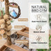 Natural real wood bird perch stand for small to medium birds, multi-layer parrot playground gym with feeding cups and toys