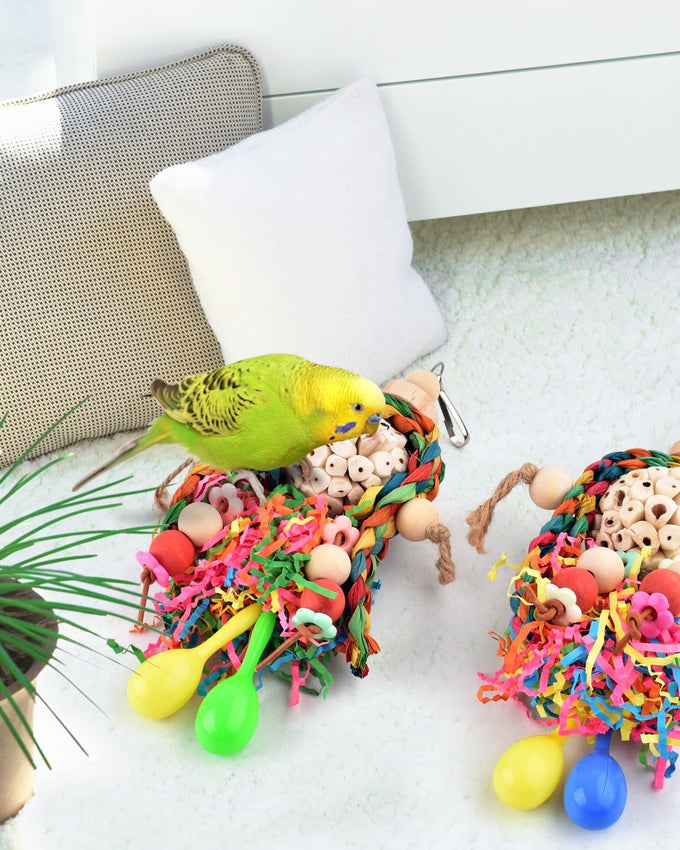 Bissap conure toys, 2pc bird parrot foraging shredder hanging toys with sola balls for small parrots, parakeets, conures, and cockatiels.