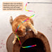cat wand toys, colorful teaser wand string for exercise kitten stick kitty rope toy, 2-pcs set