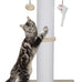 34-Inch heavy-duty grey cat scratching post with cotton rope and hanging ball for indoor cats