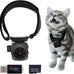 pet collar camera with 64gb sd card, hidden camera & dog tracker collar with 1080p video and infrared night vision