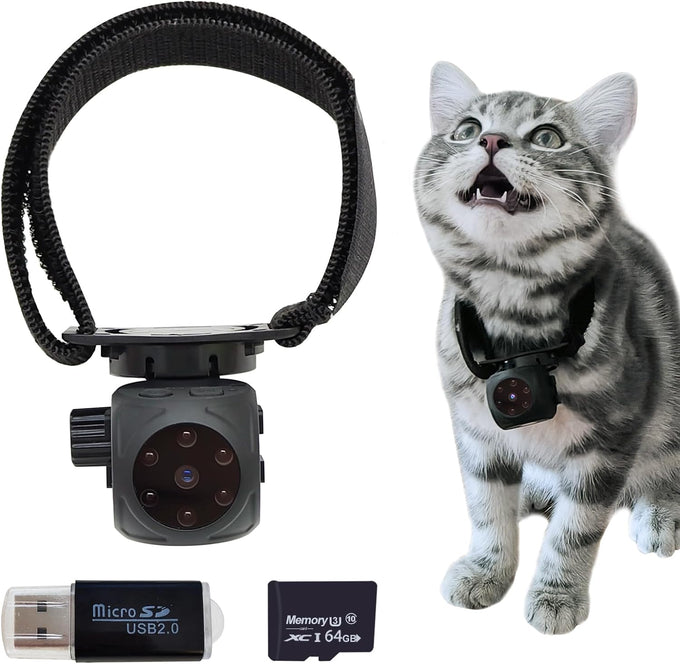 pet collar camera with 64gb sd card, hidden camera & dog tracker collar with 1080p video and infrared night vision