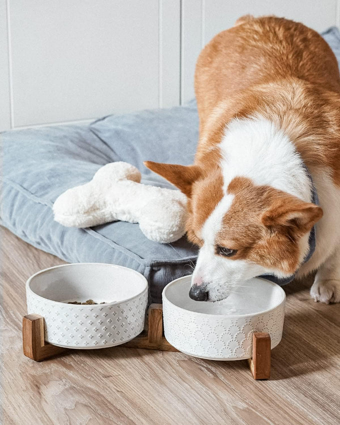 Le Tauci Acacia Wood Stand Dog Bowl Set with 1.5-Cup Ceramic Bowls for Small Dogs and Cats, Non-Slip Base
